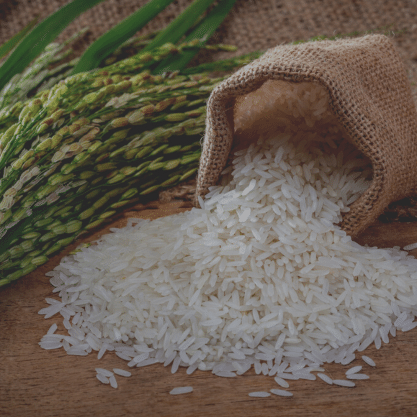 Rice
